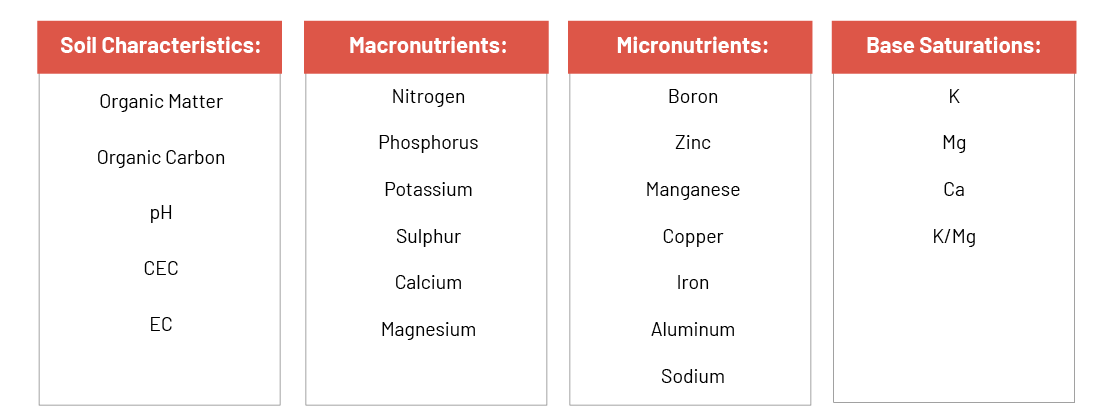 NutriScan Landing page - 3 - +EC NutriScan Landing page - 3 - +EC