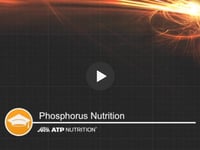 Nutrient Knowledge Phosphorus Title