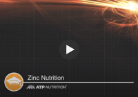 Zinc Nutrient Knowledge Title