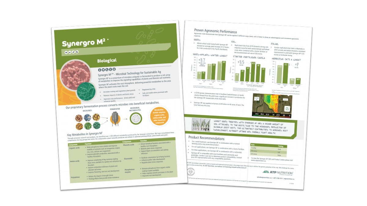 Synergro Sell Sheet